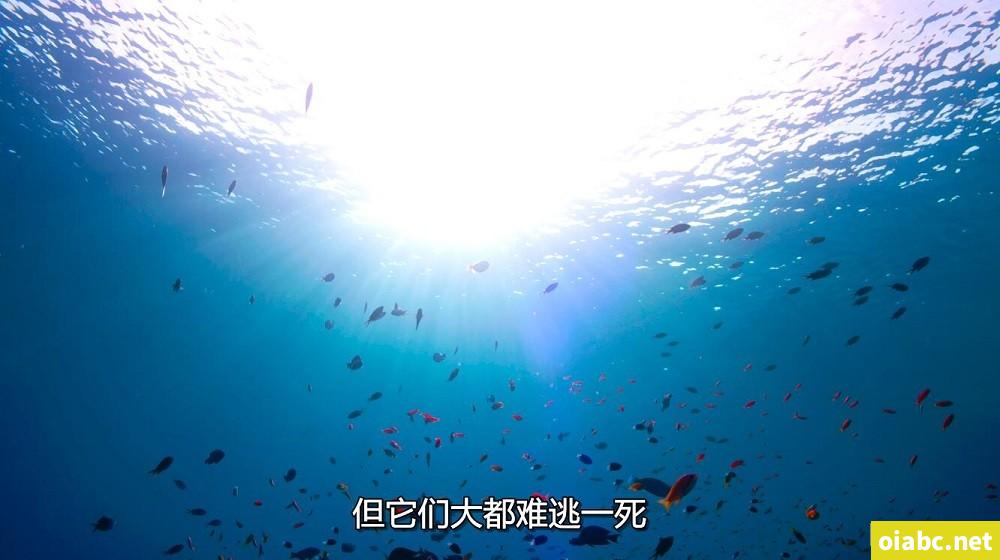 越南女房仲卖房送逼  为求销售精洗全身剧照1